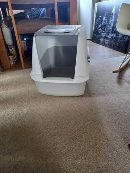 Photo of free Cat litter tray (Lancing BN15) #1