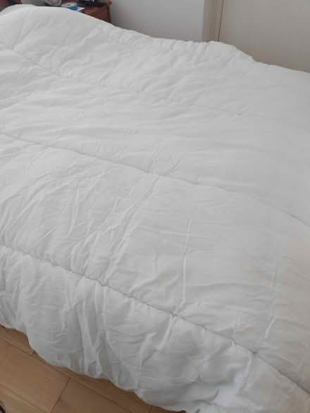 Photo of free Two king size duvets (Giffnock) #2