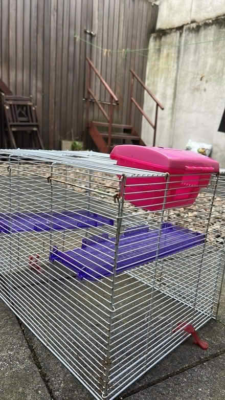Photo of free Hamster cage with accessories (Hackney Central) #1