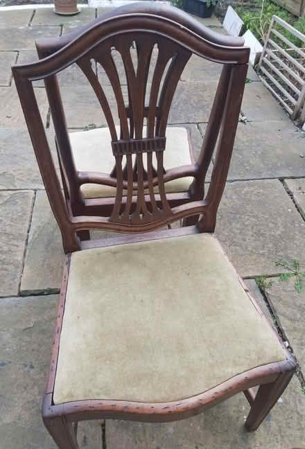 Photo of free 4 dining chairs - used (London N17) #1