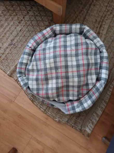 Photo of free Cat/dog bed (Catford South SE12) #1