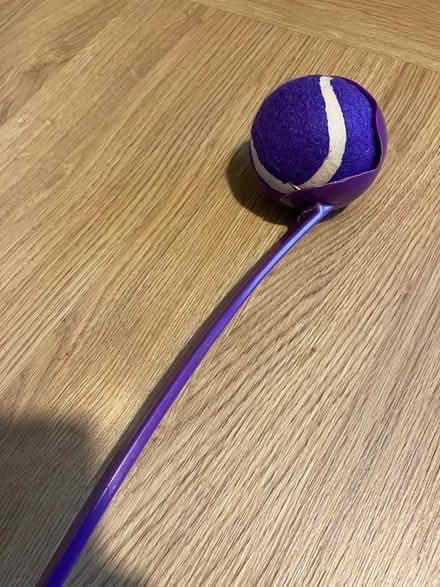 Photo of free Dog ball throw toy (Elgin IV30) #1