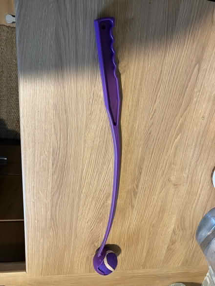 Photo of free Dog ball throw toy (Elgin IV30) #2
