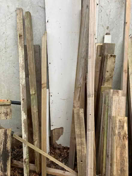 Photo of free Wood (Hayling Island PO11) #3