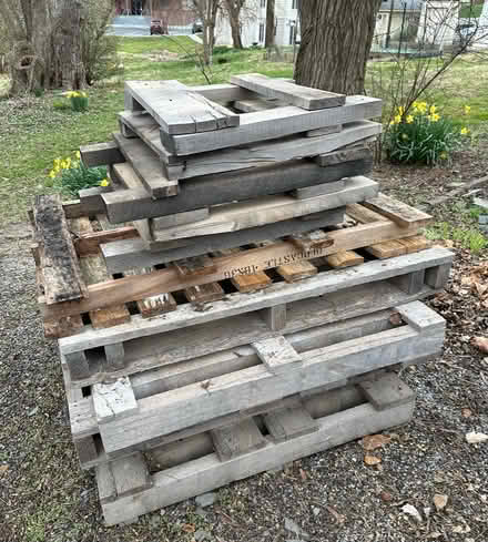 Photo of free Hardwood pallets (Germantown 20874) #1