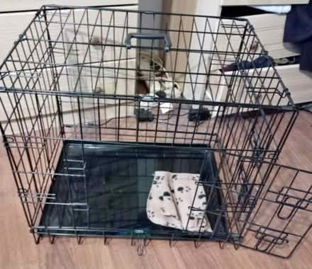 Photo of Dog crate / cage , size M / L (Annfield Plain DH9) #2