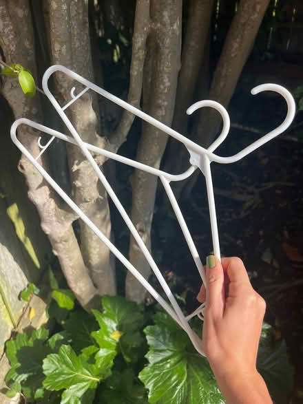 Photo of free hangers (Palos verdes estates) #3