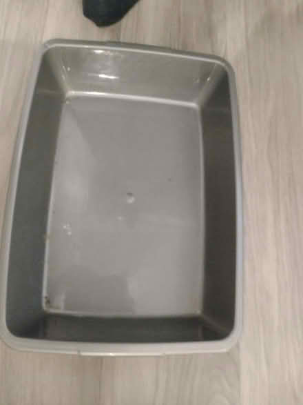 Photo of free Plastic tray (Upton) #1
