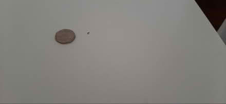 Photo of free Ikea table (Comely Bank EH4) #1