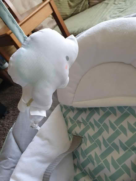Photo of free Baby rocker chair (West Bromwich B70) #1