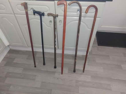 Photo of free Walking sticks (Stenalees) #1