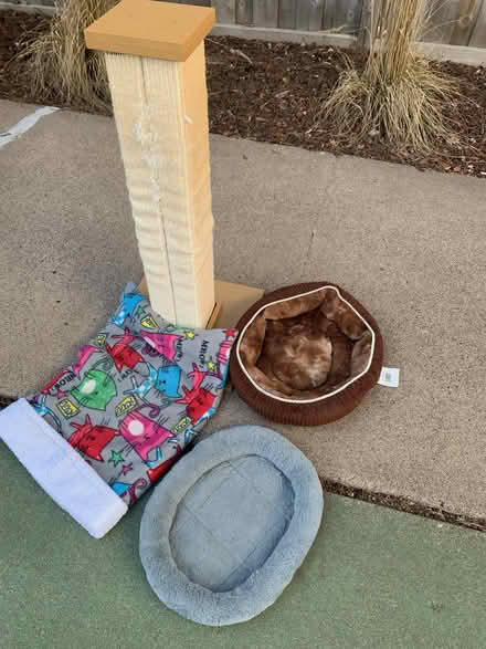 Photo of free Cat Supply Assortment (Highland Park Area) #1
