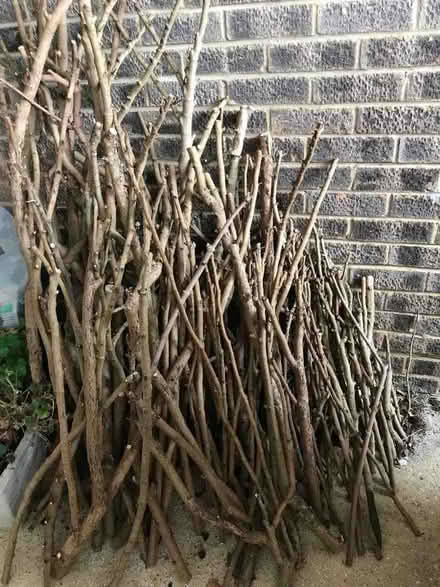 Photo of free Sticks for kindling or garden (Middleton on Sea PO22) #1