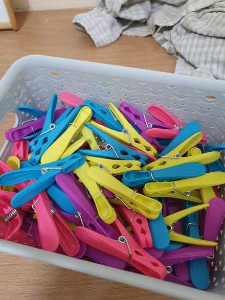 Photo of free 70 clothes pegs (L15) #1