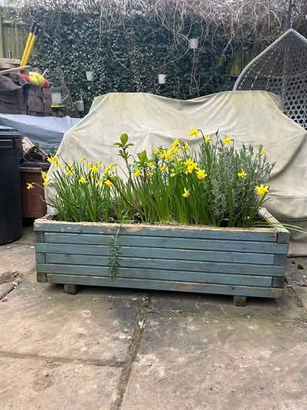 Photo of free 2wooden planters (graveley) #1