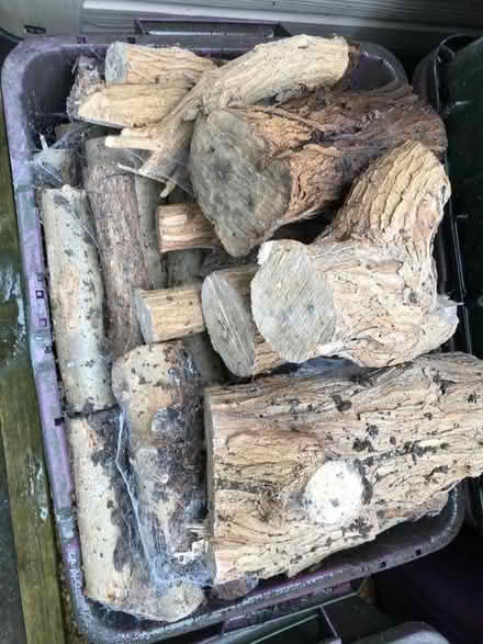 Photo of free Logs (Middleton on Sea PO22) #1
