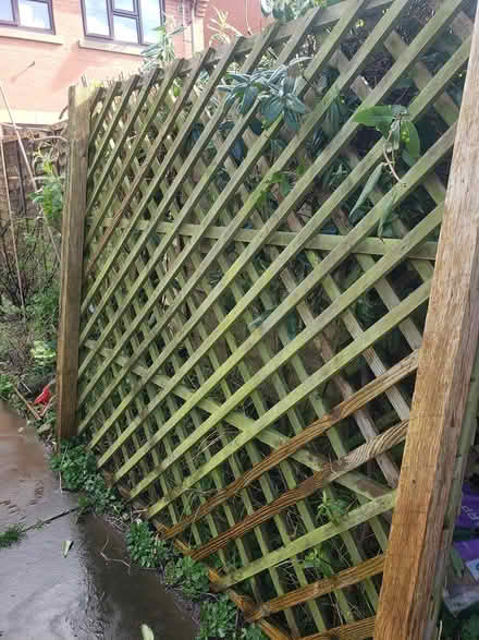 Photo of free Large heavy trellis (Worcester) #2