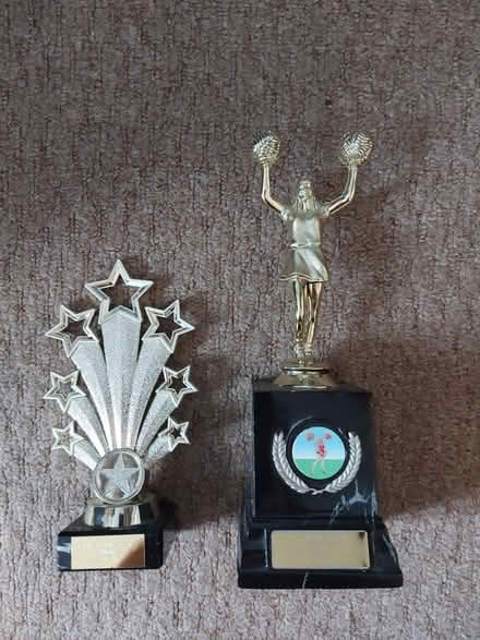 Photo of free Trophies (Botley OX2) #1