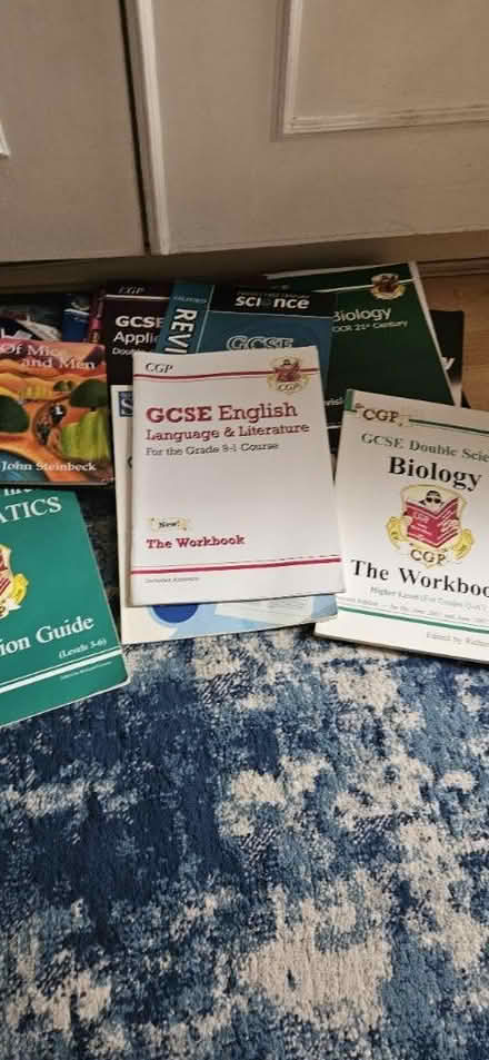 Photo of free Gcse books (HA2) #1