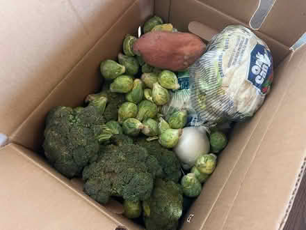 Photo of free Box of vegetables (94022) #1