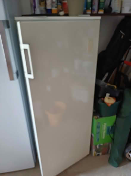 Photo of free Electrolux larder fridge (Paignton) #1