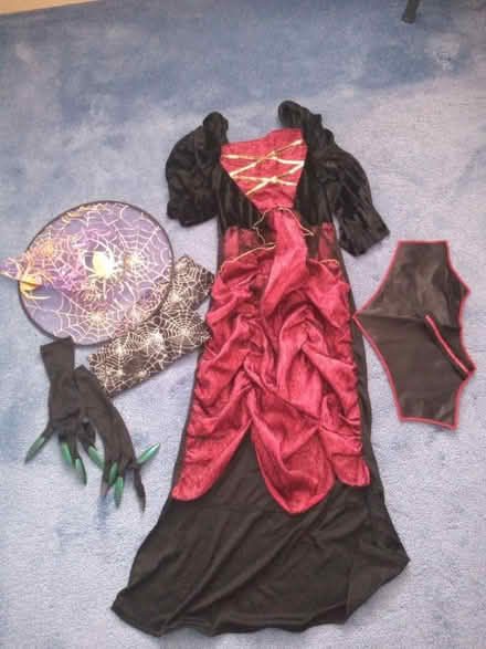 Photo of free Fancy dress items (Didcot OX11) #1