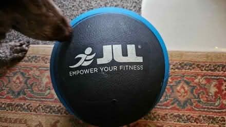 Photo of free 7kg medicine ball (Townsend AL3) #2