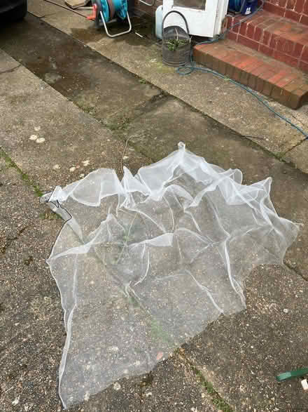 Photo of free Insect netting (Seaford) #1