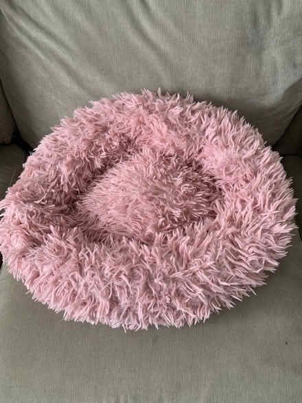 Photo of free Cat bed (WF2 8) #1