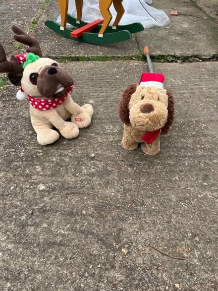 Photo of free Kids dog toys (Seaford) #1
