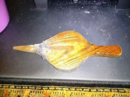 Photo of free Set of bellows (Wolfhill PH2) #2