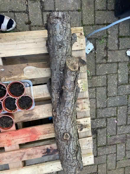 Photo of free Wooden log (BR3) #1
