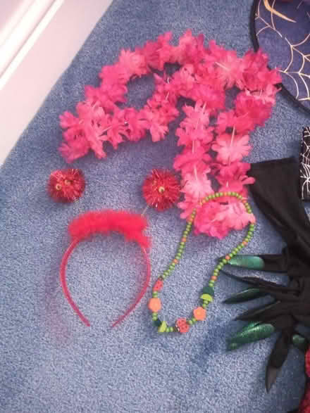 Photo of free Fancy dress items (Didcot OX11) #3