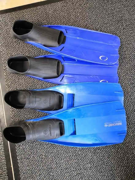 Photo of free Slipper Fins (Mickleover DE3) #1