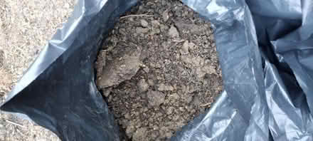 Photo of free Sacks of Soil (Sidcup) #2