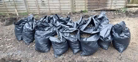 Photo of free Sacks of Soil (Sidcup) #3