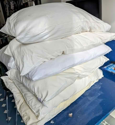 Photo of free 4 x synthetic pillows. 2 x down pillows. (Chalkwell SS9) #1