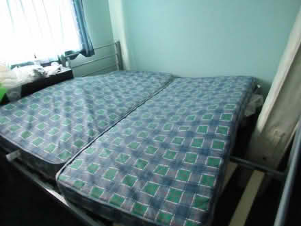 Photo of free one single bed left (Near St. Neots) #2