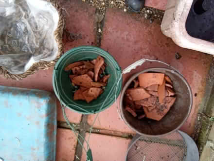 Photo of free Garden bits and pieces (Edinburgh EH10 Buckstone) #2