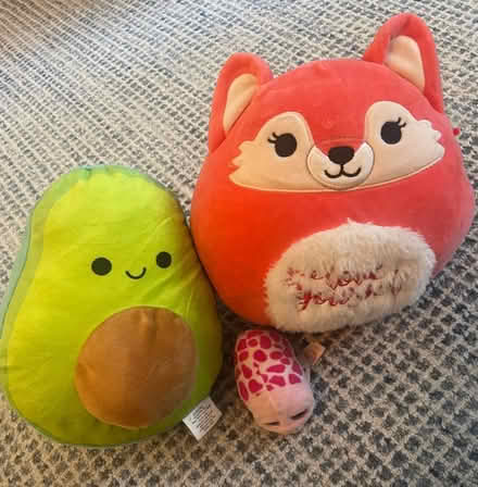 Photo of free Stuffed animals (Chelsea, ny) #1