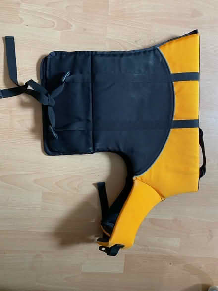 Photo of free Large Dog Life Jacket (Twerton, BA2) #3