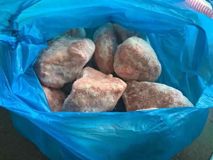 Photo of free Pieces of turkey (Gillot road B16) #2