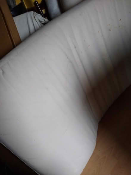 Photo of free Old natural-filled mattress - tall person (Pilton EH4) #1
