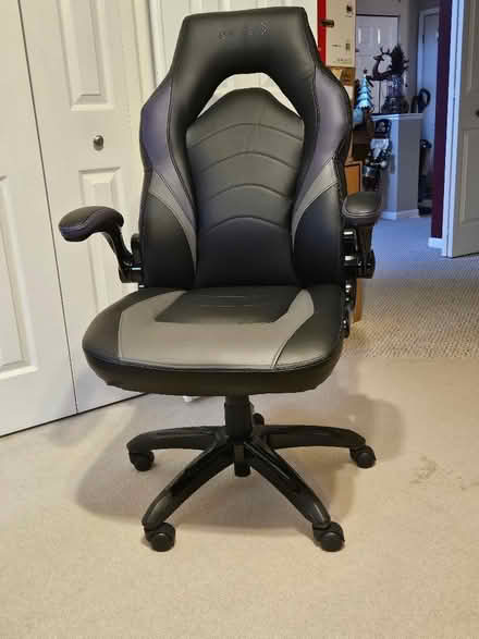 Photo of free Staples Gaming/Office Chair (EGV - Biesterfield & 290) #1