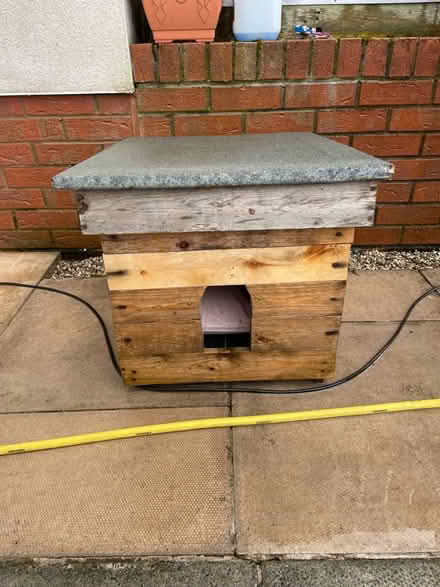 Photo of free Cat house (Carlisle area) #4