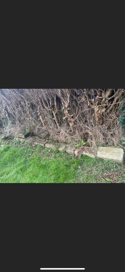 Photo of free 11 heavy concrete blocks and big garden boulder (Llanerfyl SY21) #1