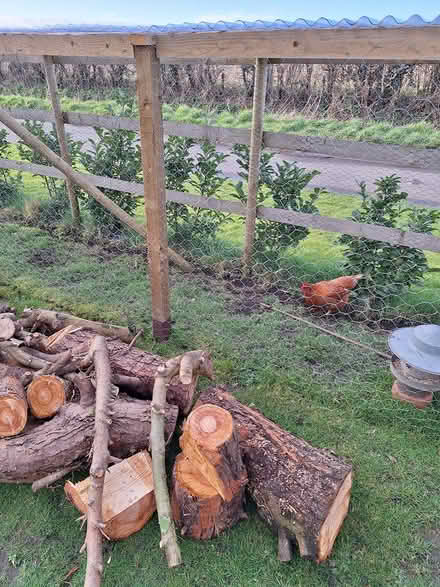 Photo of free Laylandi Logs Nature Project (Etchilhampton, Devizes SN10 3) #2