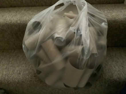 Photo of free Toilet roll tubes (Woodmancote GL11) #1