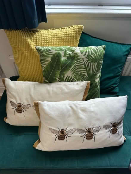 Photo of free 5 various cushions (Reddish SK5) #1