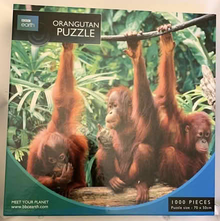 Photo of free 7 Jigsaws (Trowbridge BA14) #4